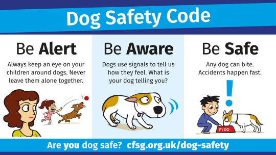 Advice for keeping children and dogs safe