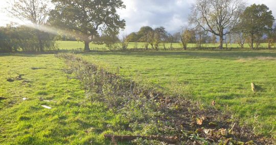 Legacy continues at Croots Farm Shop as coppicing gets under way