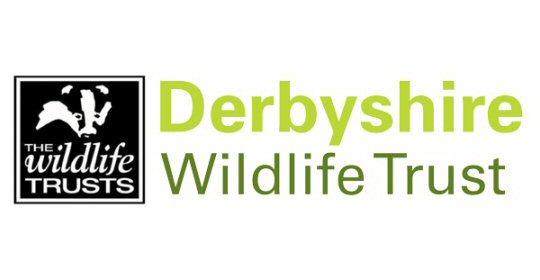 Derbyshire Wildlife Trust awarded over £200k to boost learning through nature