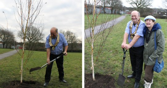Amber Valley's tree 'avenue' to commemorate the Holocaust
