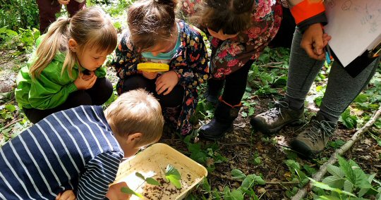 Derbyshire Wildlife Trust offers accredited courses to next environmental leaders