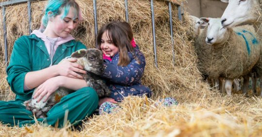 Come to Lambing Sunday at Broomfield Hall to Meet the Adorable Newborn Lambs for a Spring Spectacle!