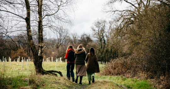 Grants For Farmers And Landowners To Plant Trees