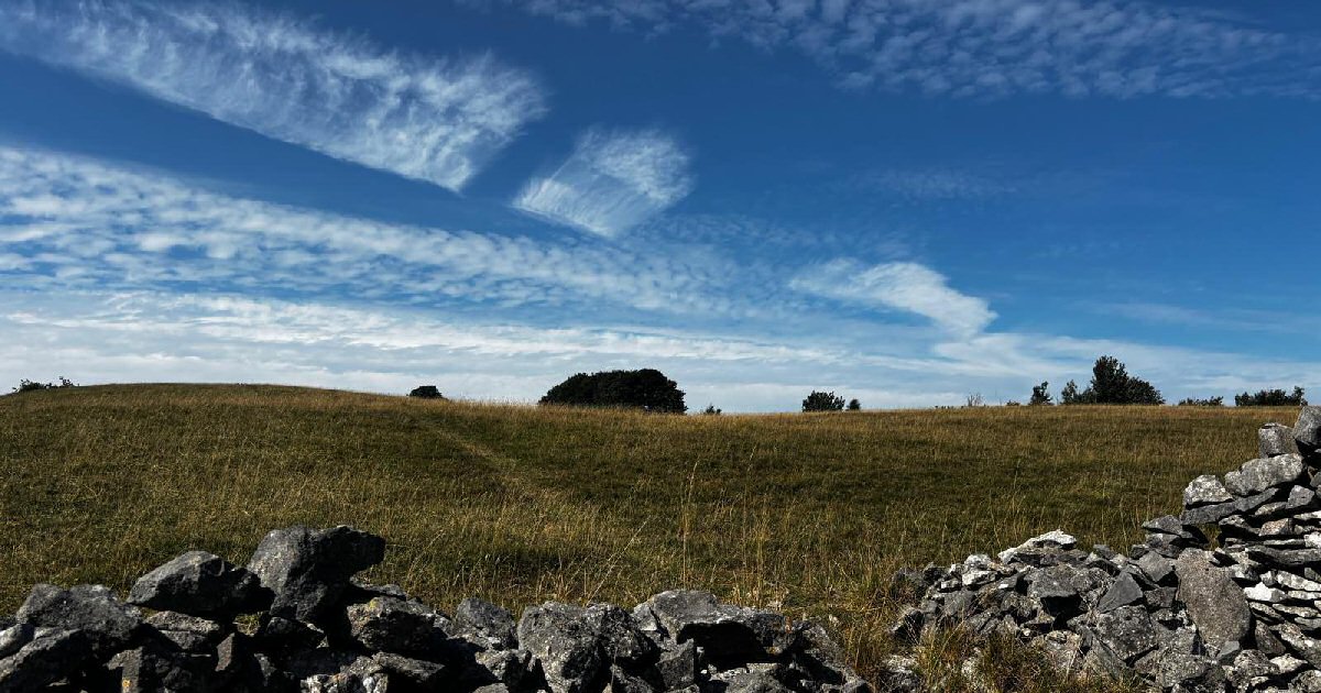 Community power secures future for Nature and People at Middleton Moor