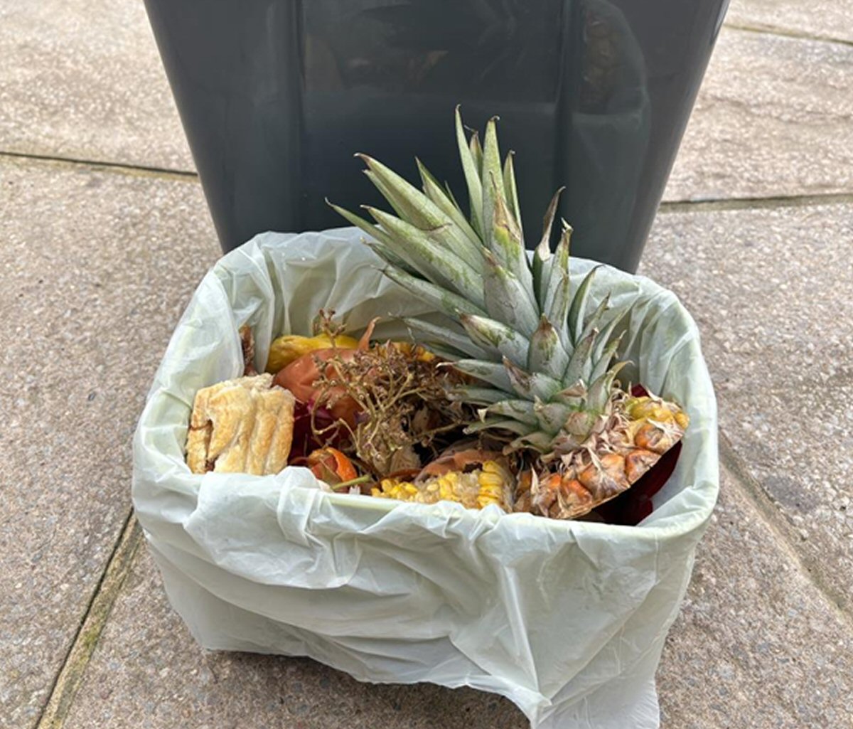 New Free Food Waste Recycling Collections Being Rolled Out In Derbyshire