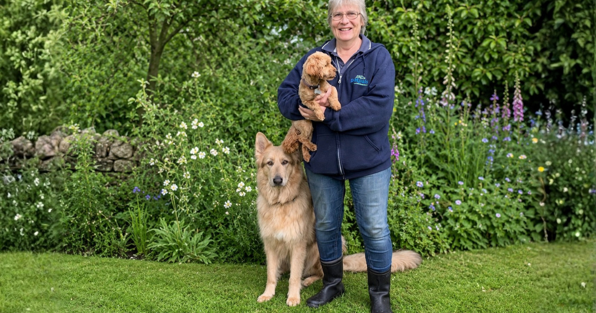 Alfreton Pet Care Business Seeks New Owner After 20 Years