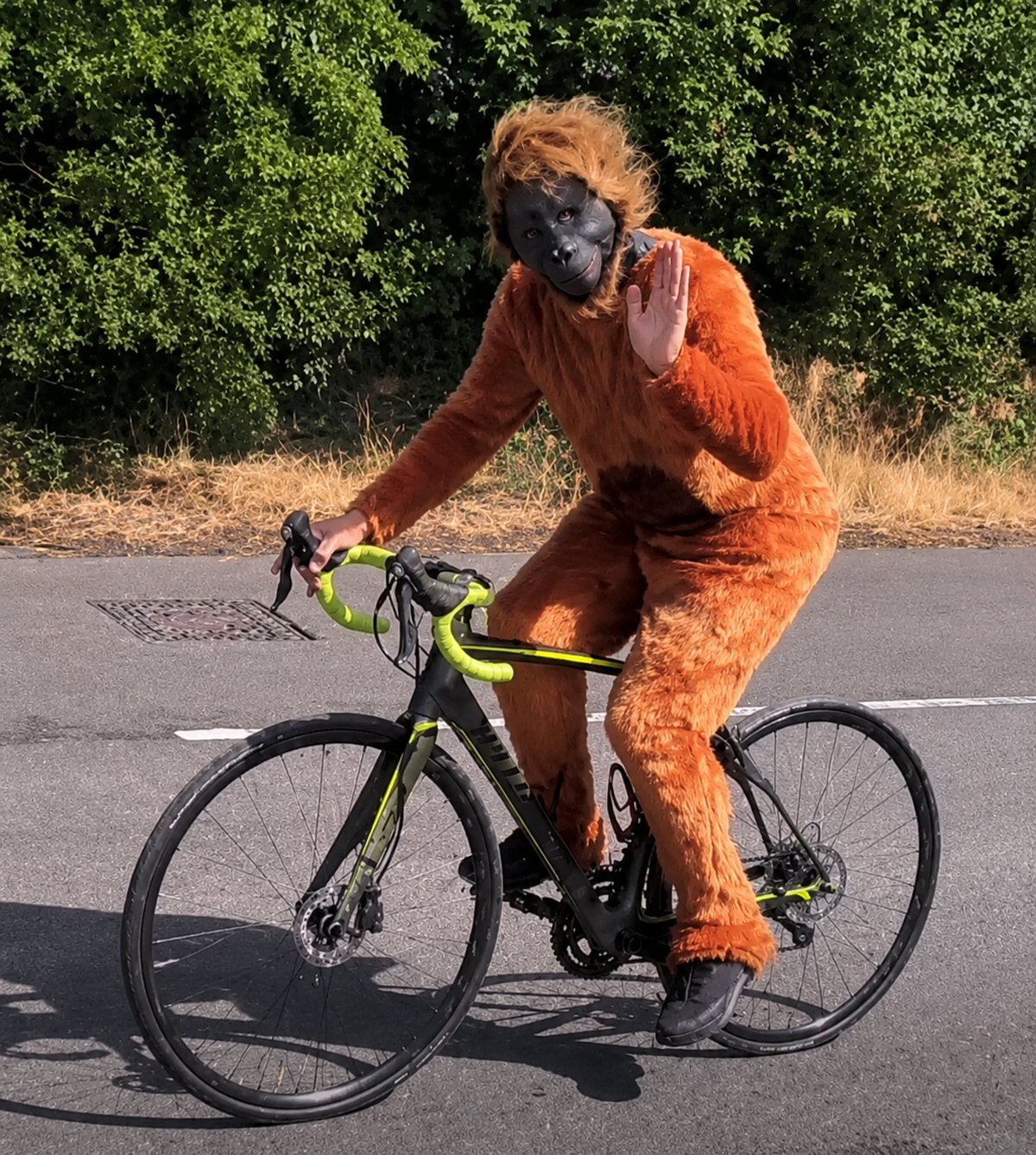 Have you spotted an orangutan cycling around Amber Valley?