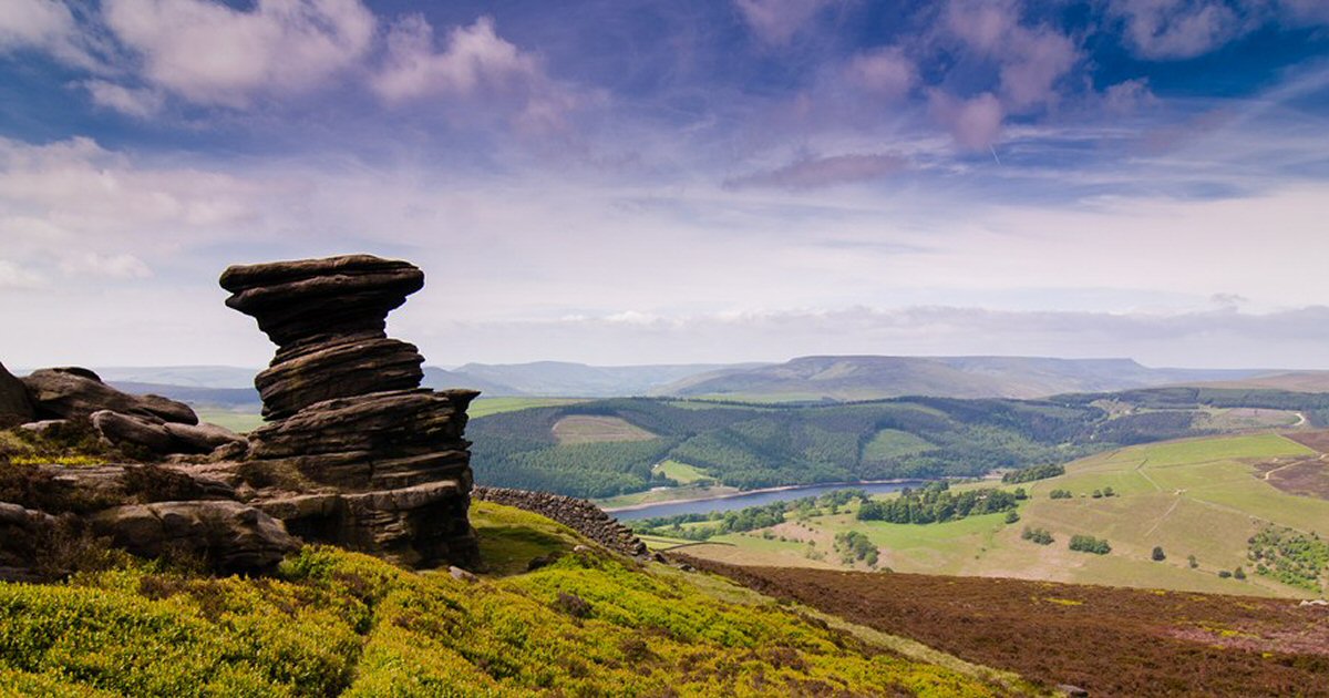 Putting the missing pieces back: urgent appeal launches to restore nature across the Wild Peak