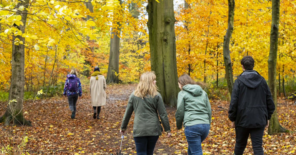 The National Trust Unveils the Best Seasonal Walks in Derbyshire and the Peak District