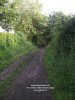 Pictures Of Somercotes