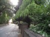 Pictures Of Somercotes