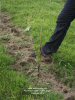 Amber Valley Wines Vineyard Tour