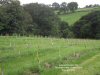 Amber Valley Wines Vineyard Tour