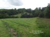 Amber Valley Wines Vineyard Tour