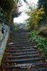 Out & About In Heage, Crich & Pentrich