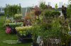 Tansley Sunday Market & Car Boot Sale