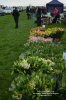 Tansley Sunday Market & Car Boot Sale