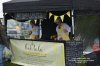 Tansley Sunday Market & Car Boot Sale