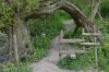 Walk To Codnor Castle