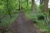 Waingroves Community Woodland