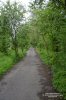 Waingroves Community Woodland